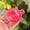 Pink, variant on Cute Transparent Slow Rising Stress Ball, Wenini Glitter Star Filled Sea Turtle Toy Sensory Fidget, Anxiety Relief Desk Decor for Kids Adults Classroom Office Travel, Orange