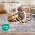 thumbnail image 4 of ODIKA 5'x7' Washable Area Rug Purple Lilac Distressed Lavendar Pink Wisteria Foyer Deep Eggplant for Small Living Room, Bedroom, Easy Care, Non-Shedding, Pet Friendly, 4 of 7