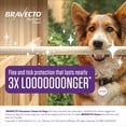 thumbnail image 5 of Bravecto (Fluralaner) Chews for Dogs, 4.4-9.9 lbs, (Yellow Box), 5 of 7