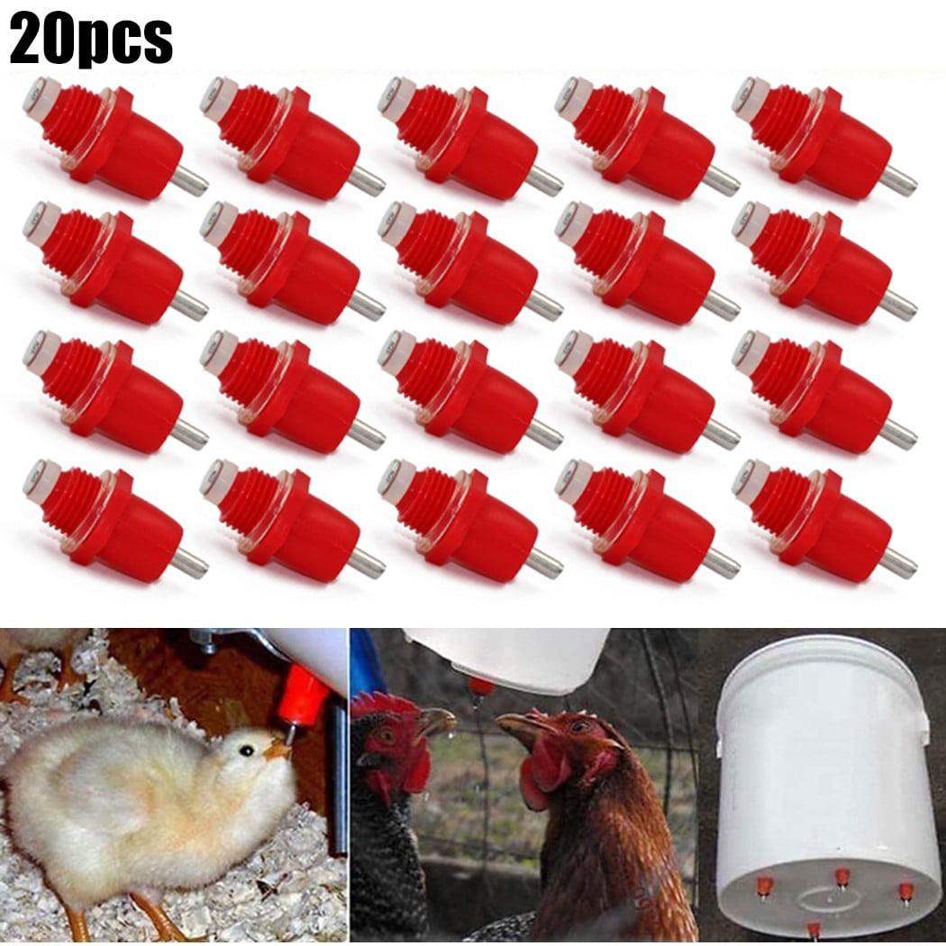 Poultry Nipple Waterer Waterfowl Duck Chicken Drinker for use with Chicken 