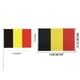 thumbnail image 3 of Holding The Flag Of Sports Clubs Fans Festival Activities Cheering Flag, 3 of 8