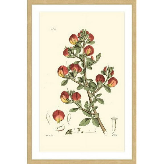 "Antique Floral I" Framed Painting Print