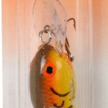 Spring Craw Yellow