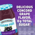 thumbnail image 2 of Smucker's Sugar Free Concord Grape Jam - 12.75 oz, 2 of 4