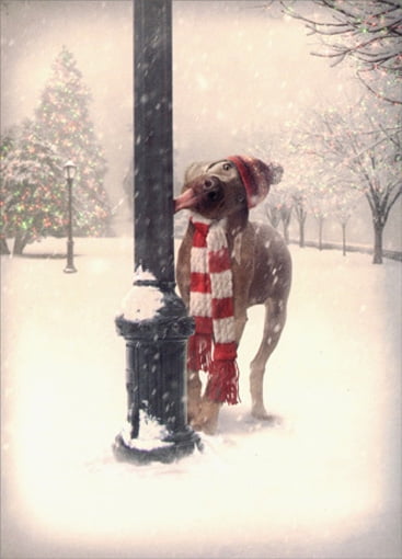 Eco Friendly Kraft Cards Funny Silly Sausage Dog Dachshund Christmas Card 
