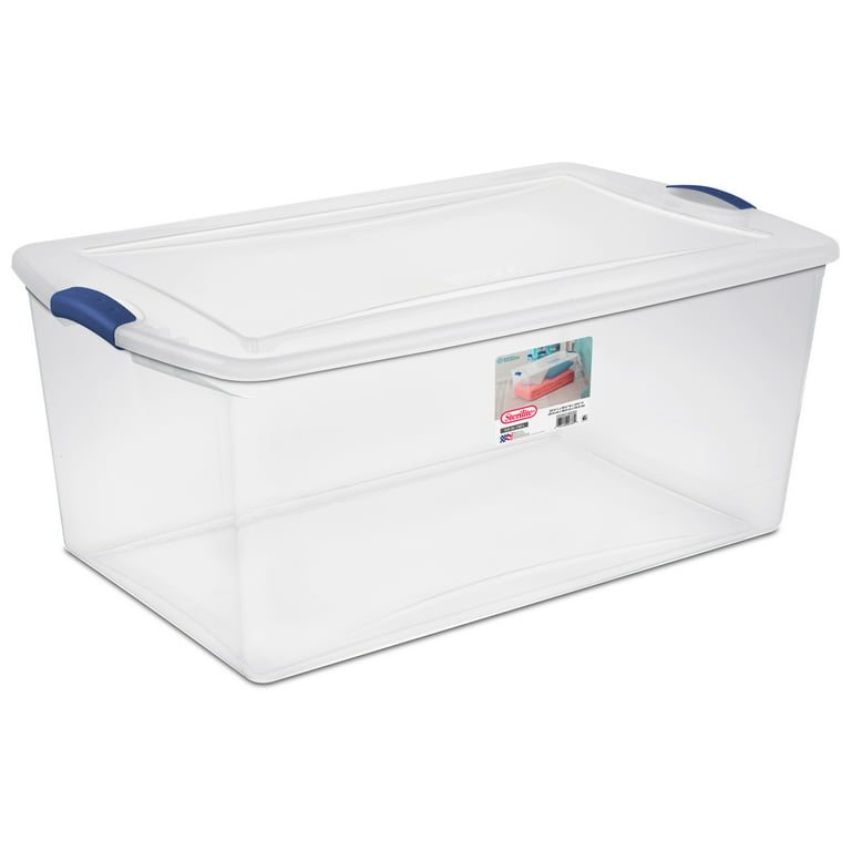 Clear Storage Container with Dual Hinging Lid, 22L, Sold by at Home