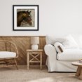 thumbnail image 3 of Stupell Industries Cottage Barnyard Horse with Daisy Black Framed Print Under Glass, 16 x 16, by Suzanne Nicoll, 3 of 8