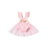Baby Girl One 1st Birthday Outfit Princess Lace Ruffle Romper Tulle Tutu Dress Bodysuit Party Dress