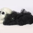 thumbnail image 3 of Worallymy Web Prop Halloween Elástico Web Decoración Fiesta Scary Insect Cobweb Network para Bar Home, Negro Worallymy JD735801198, 3 of 7