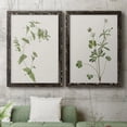 thumbnail image 5 of Wispy Botanical I - Premium Framed Canvas 2 Piece Set - Ready to Hang, 5 of 7