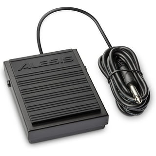 M-Audio SP-2 - Universal Sustain Pedal with Piano Style Action For MIDI  Keyboards, Digital Pianos & More