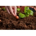 thumbnail image 3 of Nature's Way Garden Compost, 1 CF, Garden Soil, 3 of 10