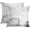 Black White, variant on Throw Pillow Covers Modern Home Art Decor, 20 x 20 Inches Set of 2 Pillow Cases Decorative, Abstract Oil Painting Pillowcases for Bedroom, Living Room, Cushion Couch Sofa, Grey Burnt Orange
