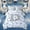 Blue D, variant on Feelyou Cartoon Letter D Twin Bedding for Kids, Football Soccer Print Bedding Comforter Set, Reversible, 7-Piece