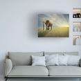 thumbnail image 3 of Ben Heine 'Walk With The Light' Canvas Art, 3 of 3