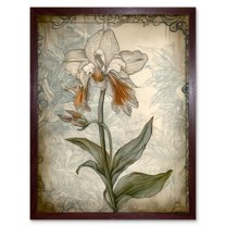 Single Orchid Flower Pastel Colour Art Nouveau Art Print Framed Poster Wall Decor 12x16 inch