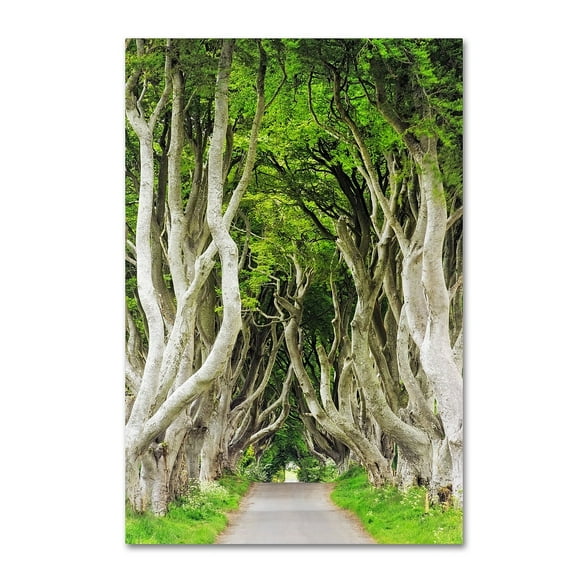 Trademark Fine Art "The Dark Hedges" Canvas Art by Philippe Sainte-Laudy