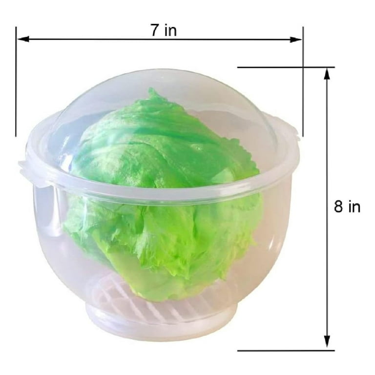 WalterDrake Lettuce KeeperTM Lettuce Crisper Salad Keeper Container Keeps your Salads and Vegetables Crisp and 7 X 8 brown 1 1 Walmart