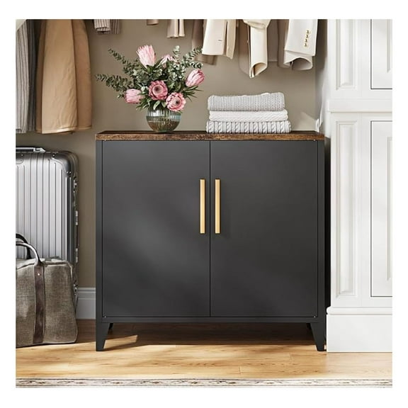 WDZS Storage Cabinet with 2 Doors,Adjustable Shelf, 16" Dx 32" Wx30 H Inches,Metal Small Buffet Sideboard Cabinet for Entryway, Kitchen (Black)