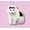 #07N B, variant on Meme Cat Sound Keychain with Speaker, Recordable Voice Keychain for Backpacks and Keys, Random Cat Style, 1 Piece