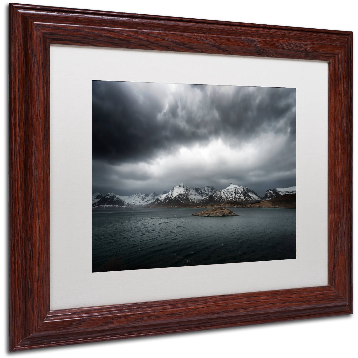 Trademark Fine Art "Grey" Canvas Art by Philippe Sainte-Laudy, White Matte, Wood Frame
