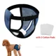 thumbnail image 2 of Braguitas para perritas con 3 almohadillas de algodón, pañales reutilizables, malla transpirable para mascotas, hebilla de ajuste flexible, vendajes sanitarios lavables, 2 of 5