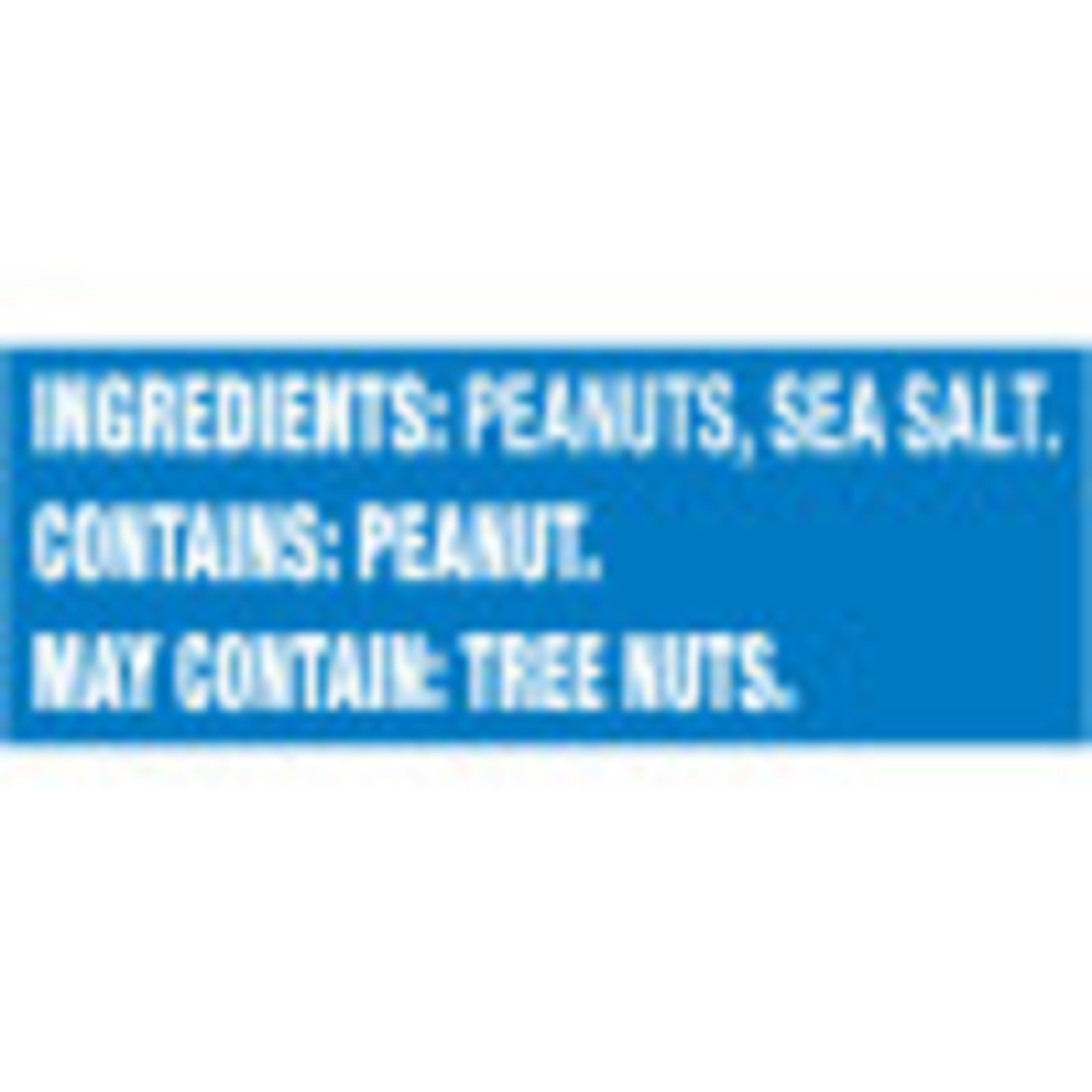 PLANTERS Lightly Salted Dry Roasted Peanuts, Party Snacks, Plant Based Protein, 16 oz Jar