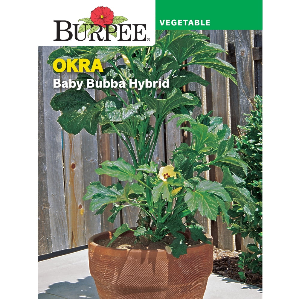 Burpee Baby Bubba Hybrid Okra Vegetable Seed, 1pack