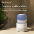 thumbnail image 5 of Levoit Sprout Evaporative Humidifier, 5 of 7