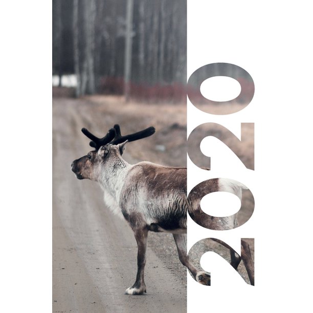 2020 Secret santa gifts beginning with R Reindeer Planner