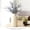 Green / White /brown/Green, variant on [Big Clear!]3Pcs Dried Artificial Plant Tree Branches Stem Vase Home Office Bedroom Flowers Decoration Table Centerpiece Arrangement