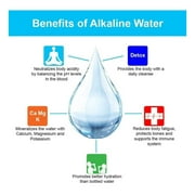 Portable Counter Top Alkaline Reverse Osmosis Water Filtration System - 50 GPD