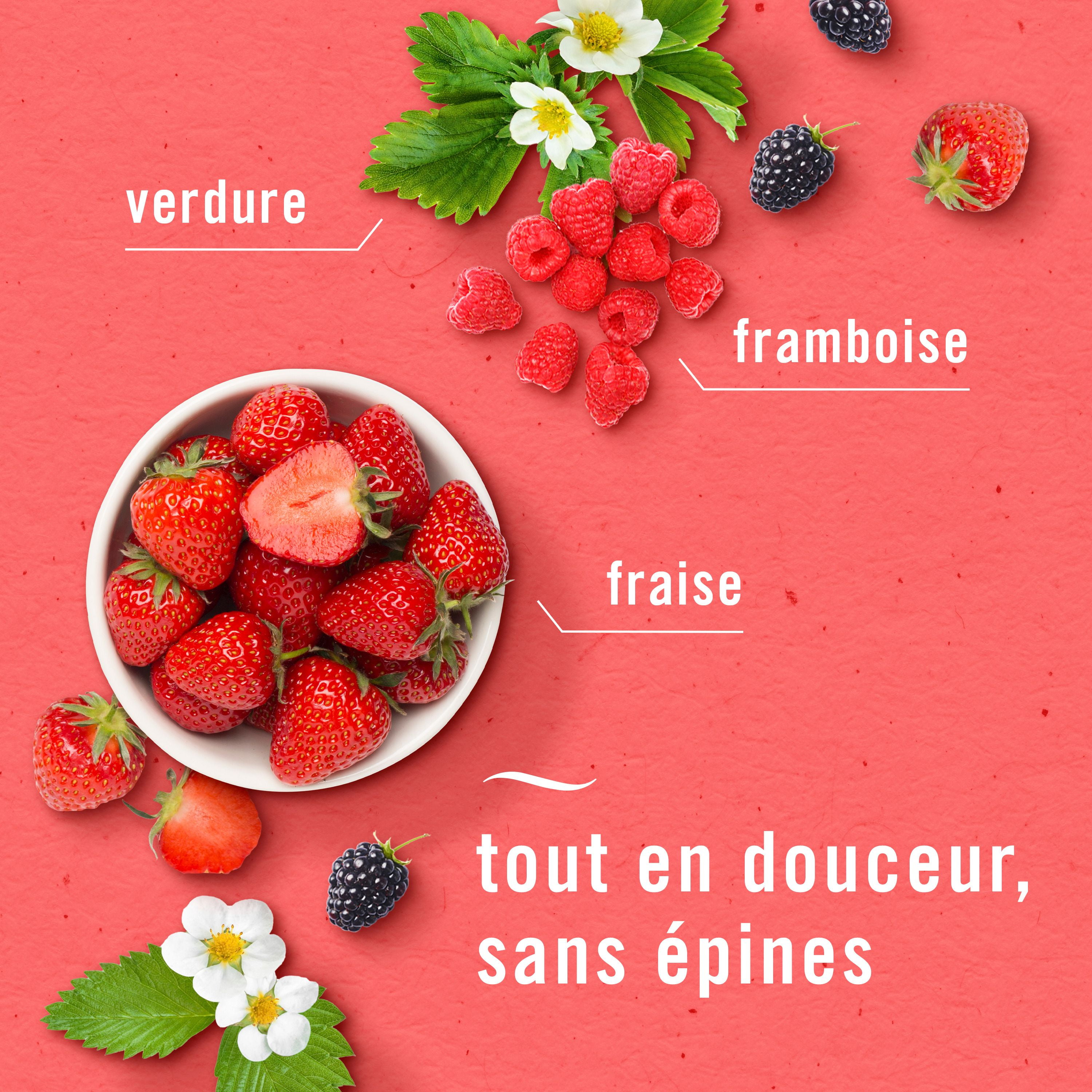 Febreze Car Air Freshener Vent Clip Berry & Bramble Scent, Car Vent Clip, 2ct