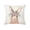 P, variant on Easter Pillow Cover 18x18 Inches – Rabbits and Easter Egg Pattern Decorative Linen Cushion Case for Sofa Couch Bed Living Room Holiday Spring Home Decor