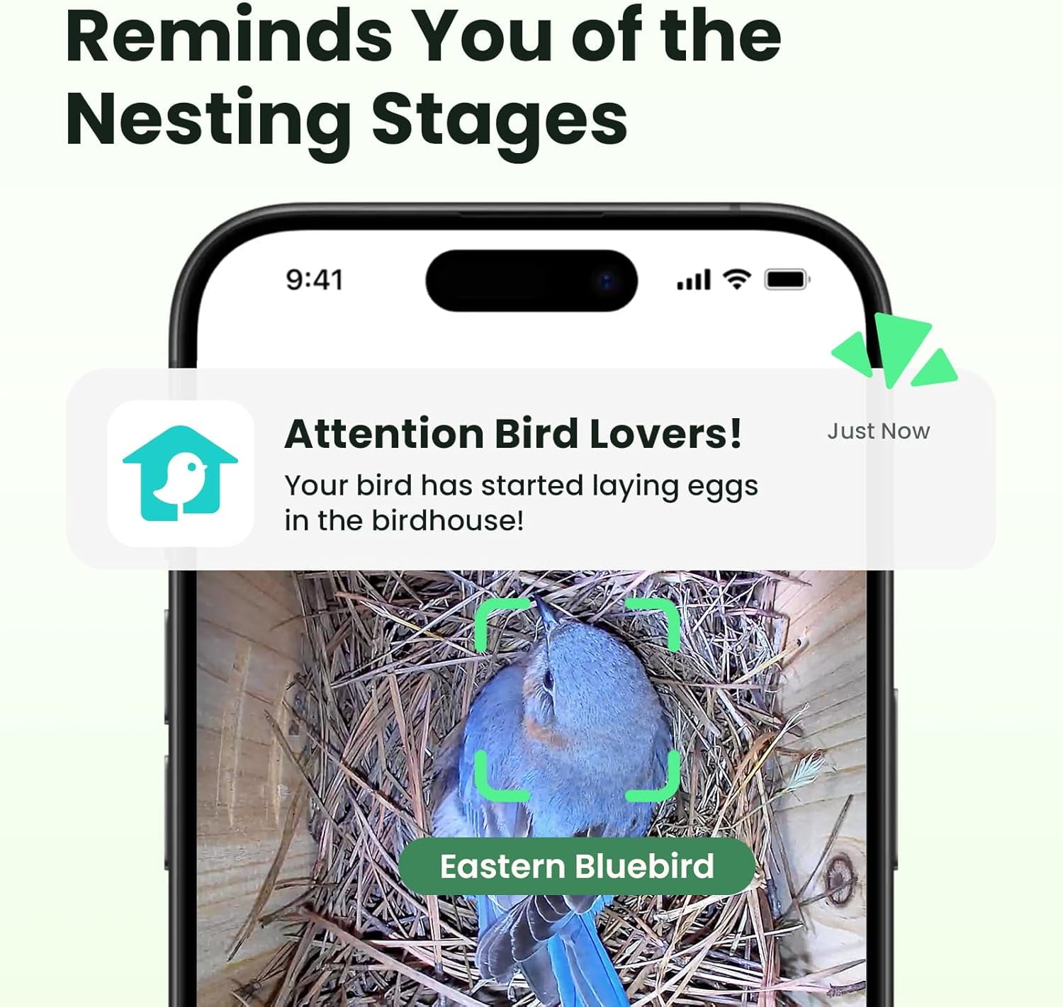 Birdfy Smart Bird Houses With 1080P HD Bird Feeder Camera, Perfect Viewing Bird Nesting and Hatching, Gift for Bird Lover