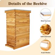 BeeCastle 10 Frame Langstroth Bee Hive with Windows Beeswax Coated Includes Beehive Frames and Waxed Foundations (2 Deep Beehive Boxes & 2 Medium Bee Boxes)