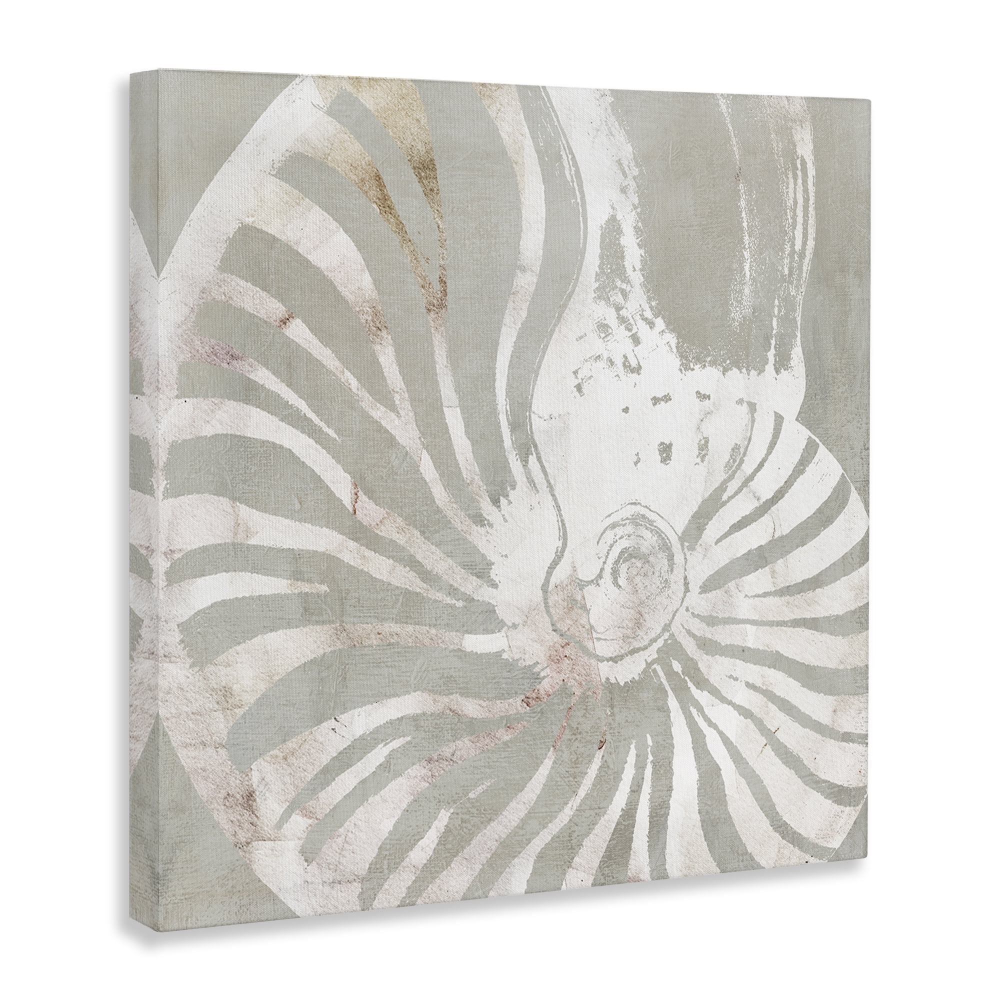 Stupell Industries Beige Nautilus Pattern Nautical & Beach Painting Wrapped Canvas Art Print Wall Art, 36 x 36