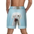thumbnail image 4 of Haiem Puppy Licks Nose Mens Swim Trunks with Compression Liner 2 in 1 Swimming Shorts Stretch Swimwear Quick Dry,Board Shorts-3X-Large, 4 of 9