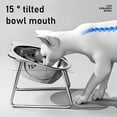 thumbnail image 3 of Elevated Pet Feeder Bowl with 15° Tilt, Stainless Steel Raised Dish with Removable Stand for Cats and Small Dogs, 3 of 8