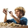 Educational Insights GeoSafari Dini Dig Triceratops