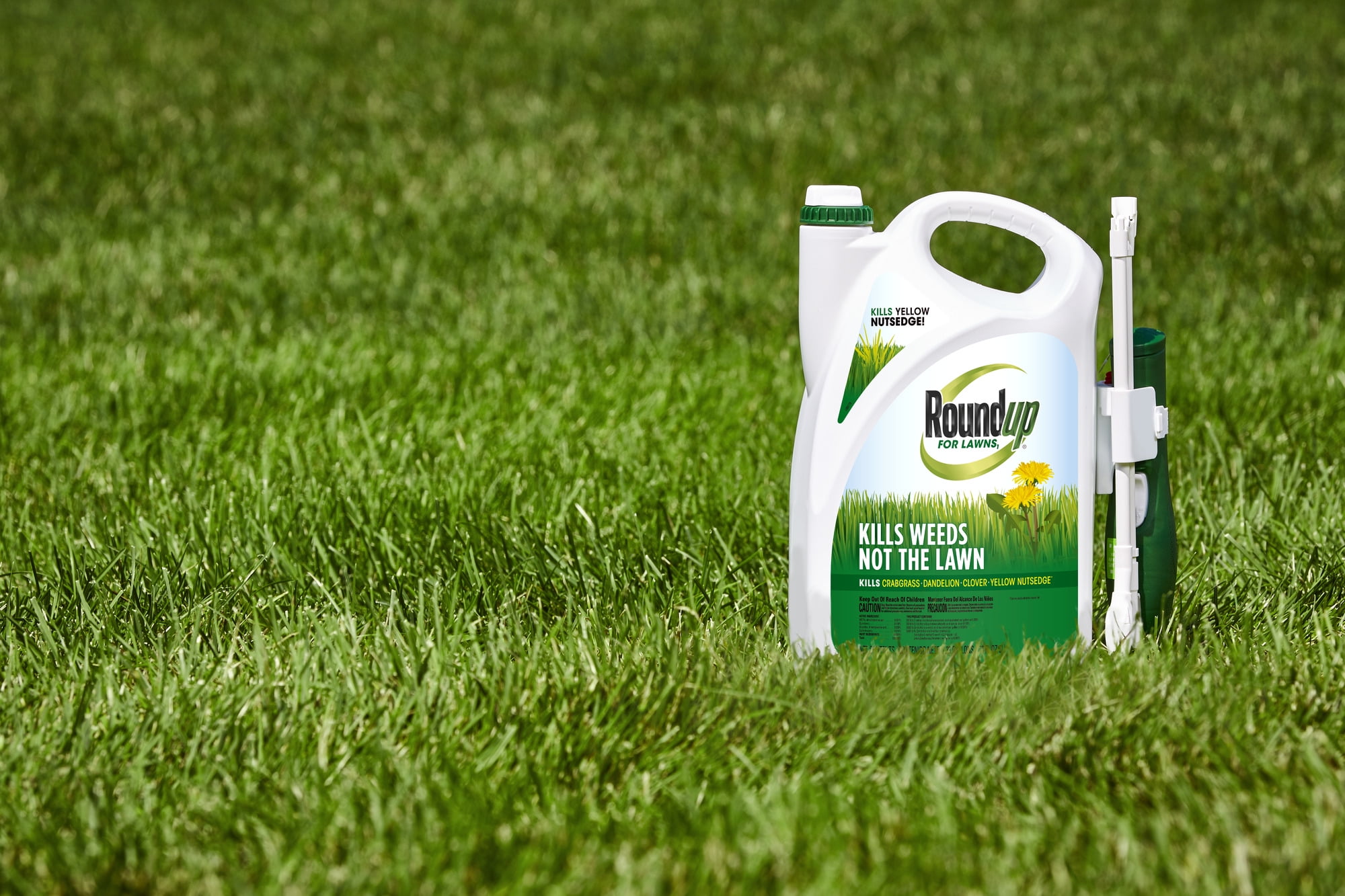 Roundup For Lawns 1 (Northern) Extended Wand, Weed Killer, 1.33 gal., Kills The Root