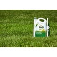thumbnail image 3 of Roundup For Lawns 1 (Northern) Extended Wand, Weed Killer, 1.33 gal., Kills The Root, 3 of 8