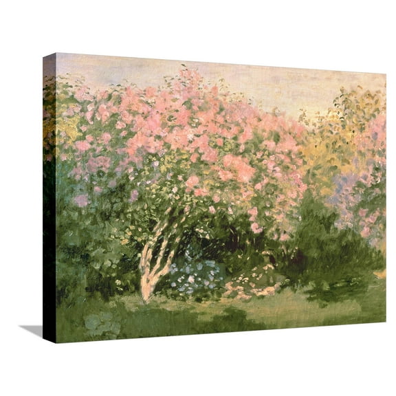Art.com Lilac in the Sun, 1873 Stretched Canvas Print Wall Art by Claude Monet, 24" x 18"