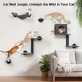 thumbnail image 4 of Estantes de Pared para Gatos FUKUMARU Juego de 5 Piezas con Hamaca, Casita y Más, 4 of 7
