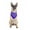 Purple, variant on Paisley Polyester Pets 6 Pack Dogs Bandana Triangle Shape  - Oversized (Red)