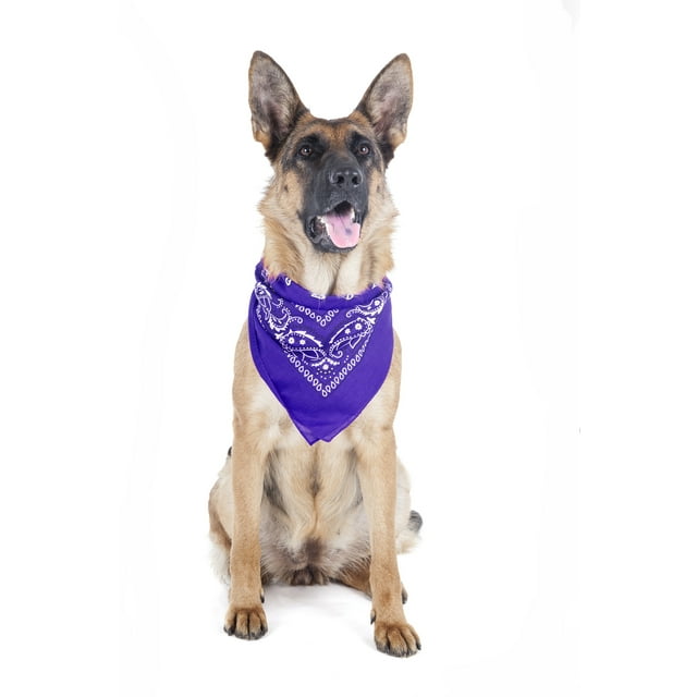 5 Pack Bandana Triangle en Polyester Paisley pour Animaux de Compagnie Chiens - Surdimensionné (Violet)
