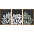 thumbnail image 3 of IDEA4WALL Framed Canvas Print Wall Art Set of 3 Desert Rose Echeveria Succulent Set Nature Plants Photography Modern Art Closeup Relax/Calm for Entryway, Bedroom, Office - 16"x24"x3 Natural, 3 of 5