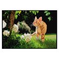 thumbnail image 2 of Bordado completo Hilo de algodón ecológico (14CT) (Impreso) DIY Cat Cross Stitch Craft Hugtrwg Para estrenar, 2 of 9