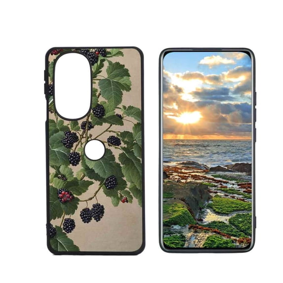 Old-Botanical-Blackberries-Painting-Hard-s-Fine-Art-1-3 Phone Case, Degined for Moto Edge+ (2022) Case Men Women, Flexible Silicone Shockproof Case for Moto Edge+ (2022)