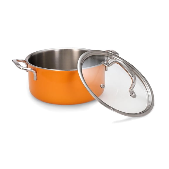 Vida Stainless Steel Triply Pot With Glass Lid | For Biryani, Pulao, Halwa, Curries | 20 Cm, 3 Liters | Rivet Less Handle | Induction & Gas Base | 7 Yrs Warranty, Volcanic Color